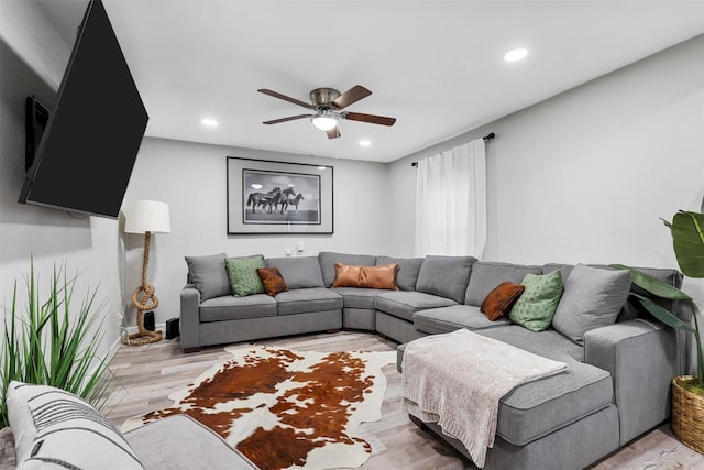 living room with ceiling fan and light hardwood / wood-style flooring