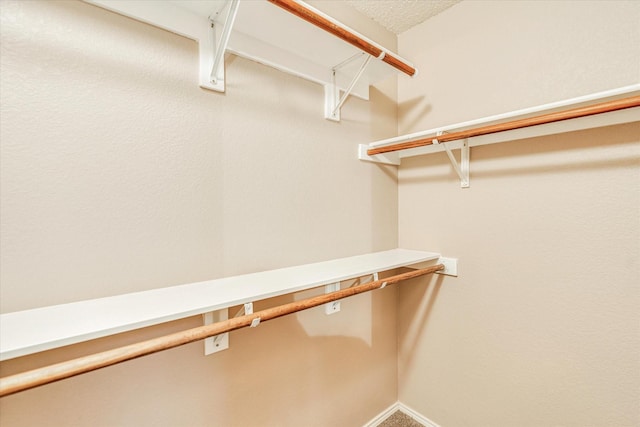 spacious closet featuring carpet floors