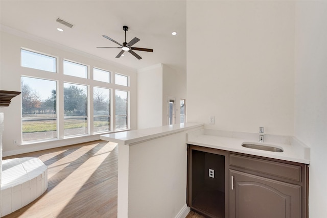 interior space with sink, ceiling fan, light hardwood / wood-style floors, and crown molding