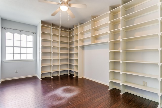 interior space featuring ceiling fan and wood-type flooring