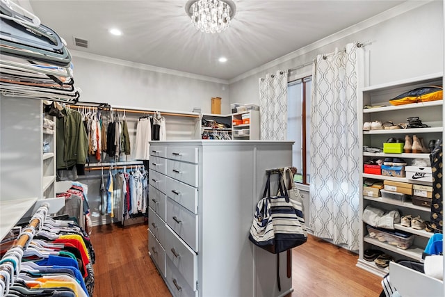 walk in closet with hardwood / wood-style flooring