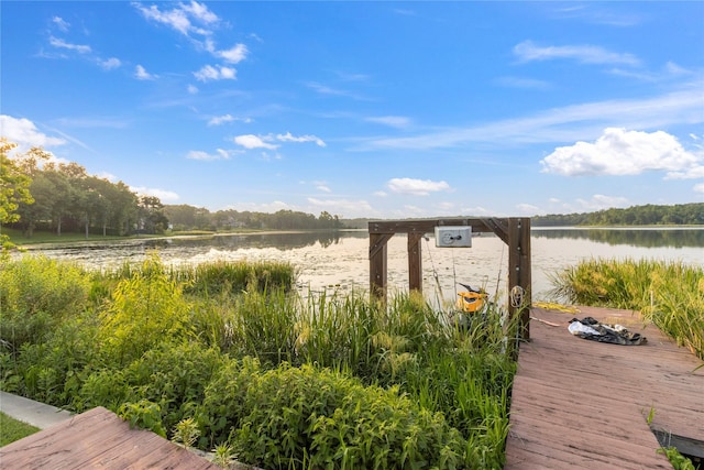 dock area featuring a water view