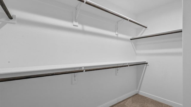 walk in closet with light carpet