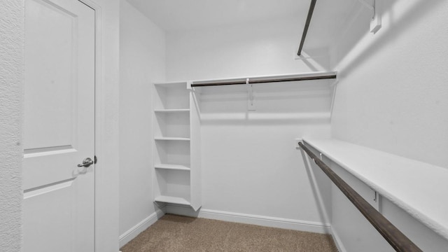 walk in closet with light colored carpet