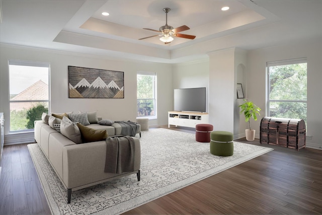 living room with ceiling fan, crown molding, a raised ceiling, and dark hardwood / wood-style floors