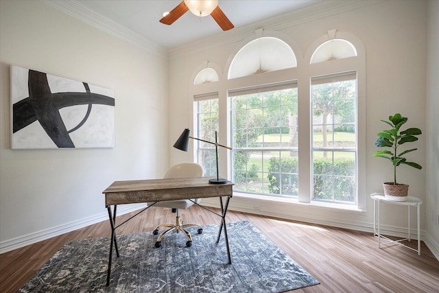 office featuring ceiling fan, ornamental molding, and hardwood / wood-style floors