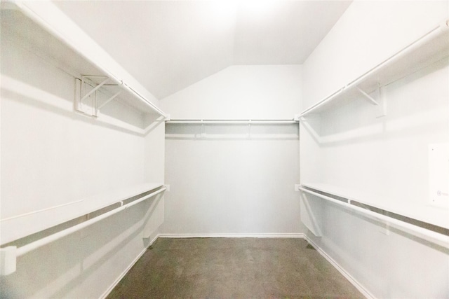 spacious closet featuring lofted ceiling and dark colored carpet