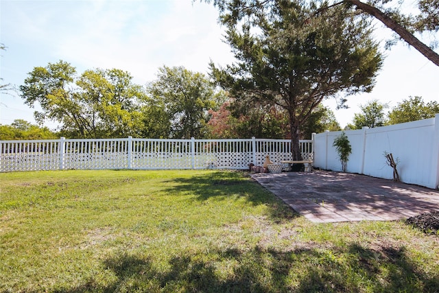 view of yard featuring a patio area