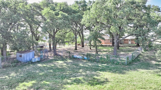 view of yard with a storage shed