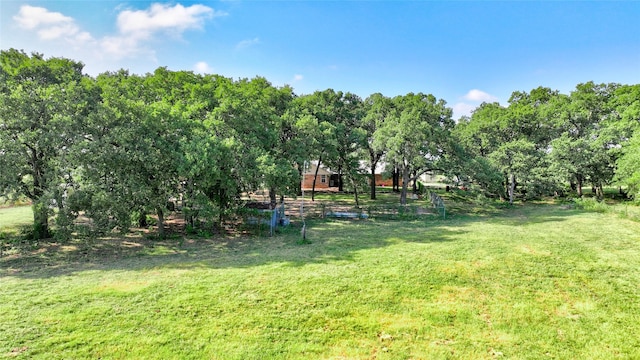 view of yard with a rural view