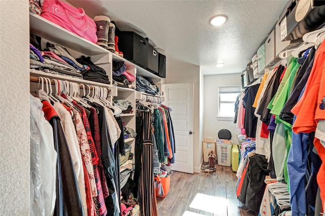 spacious closet with light hardwood / wood-style floors