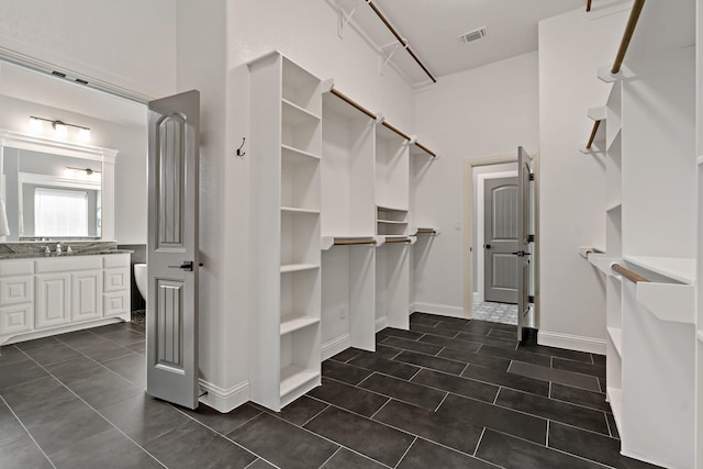 spacious closet with sink