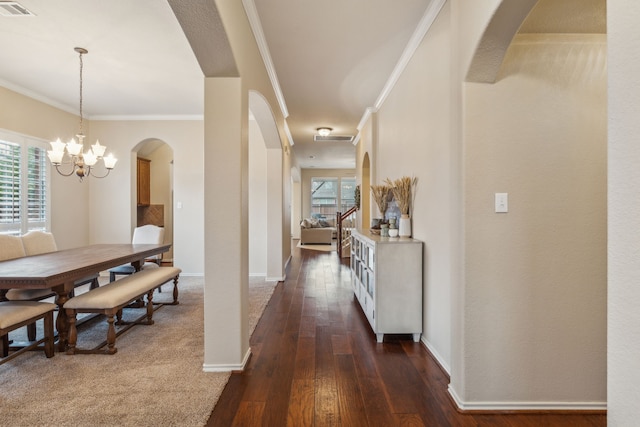 hall with a chandelier, plenty of natural light, ornamental molding, and dark hardwood / wood-style floors