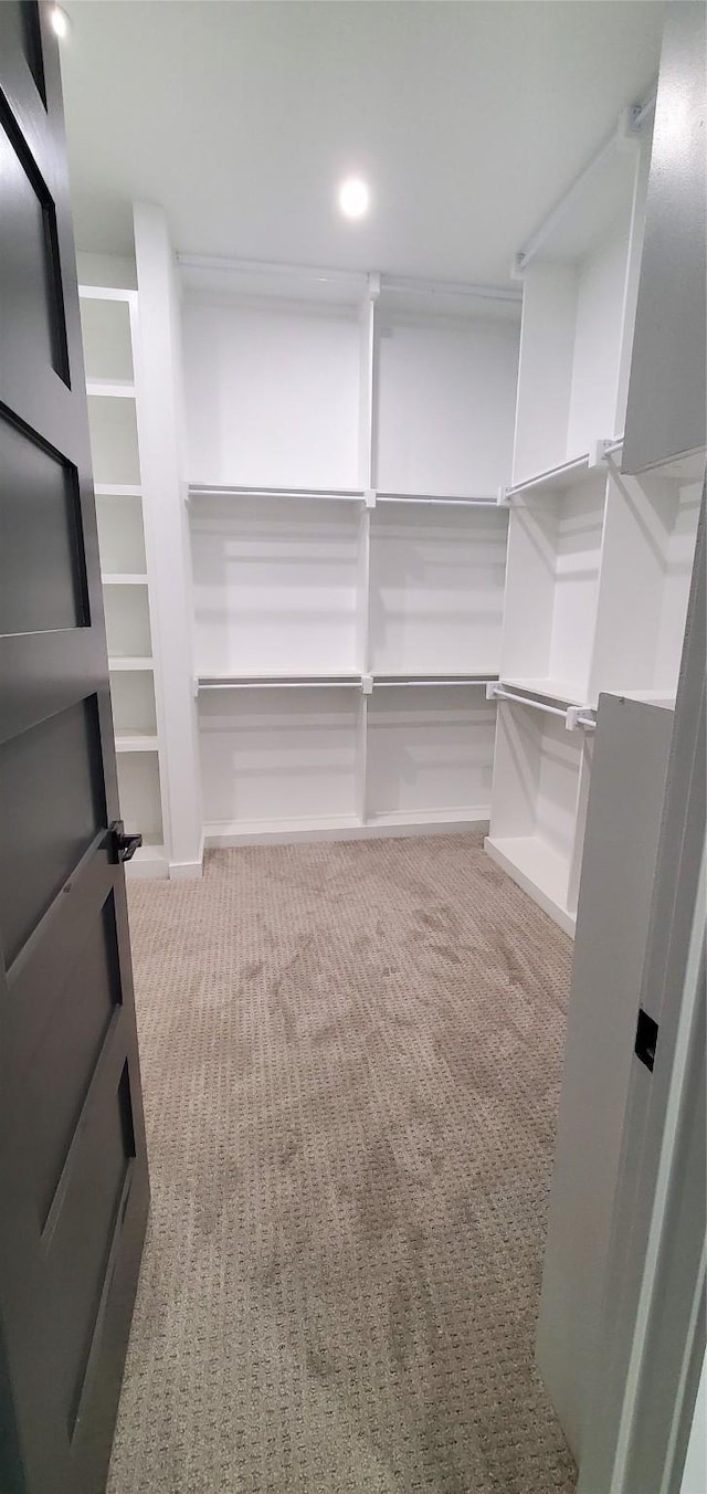 spacious closet featuring light carpet