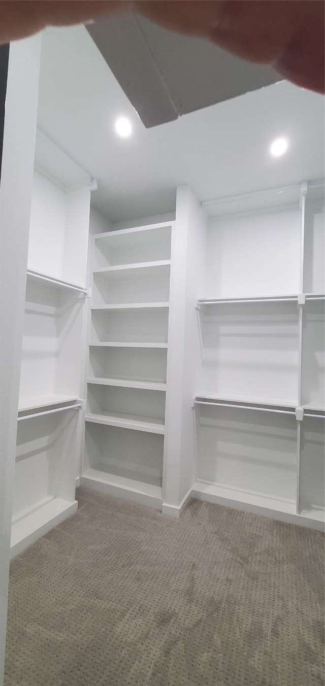 spacious closet featuring carpet