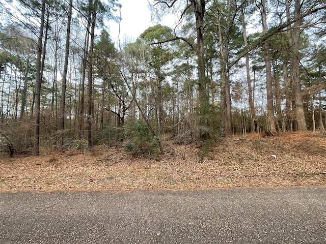 Listing photo 2 for LOT30 Noxubee St, Shreveport LA 71119