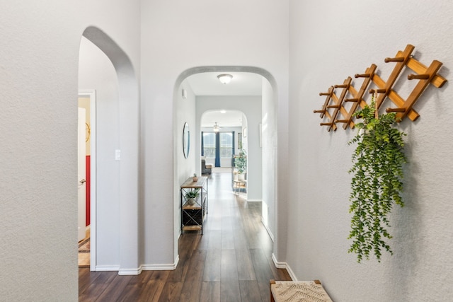 corridor featuring dark hardwood / wood-style floors