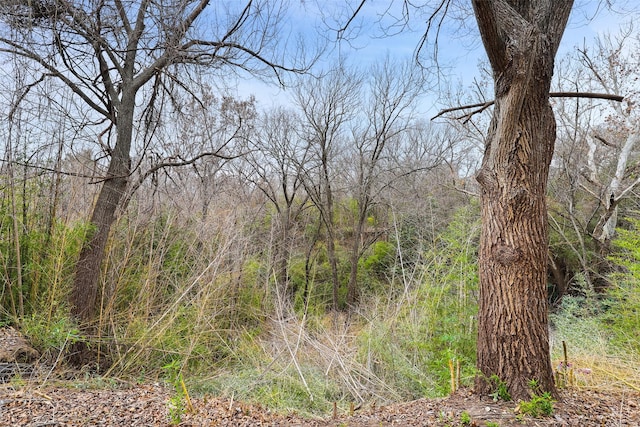 view of local wilderness