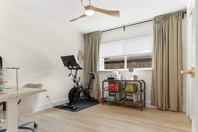 exercise area with ceiling fan and light hardwood / wood-style floors