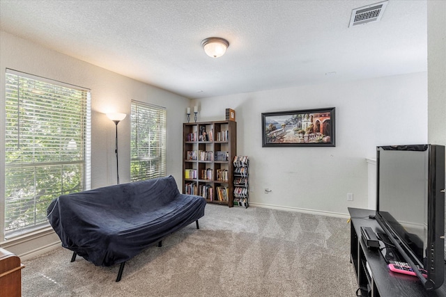 sitting room featuring a textured ceiling and light carpet