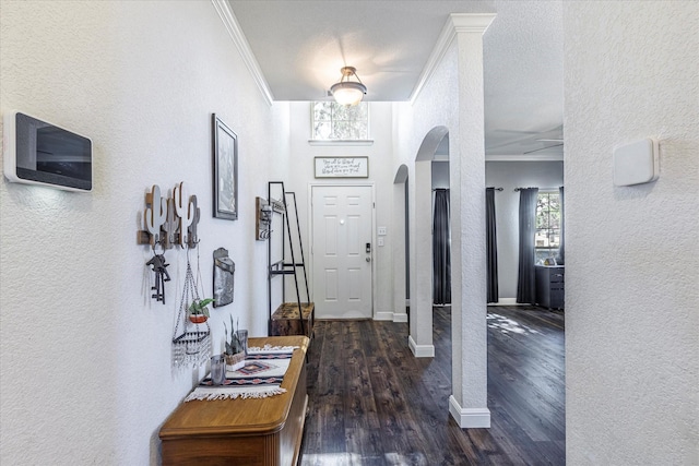 foyer entrance with dark hardwood / wood-style flooring and crown molding