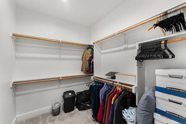 walk in closet featuring carpet flooring