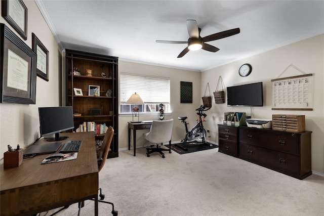 carpeted office featuring ceiling fan and crown molding