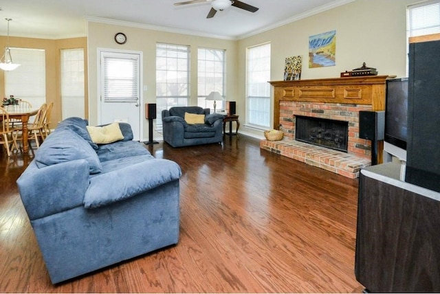 living room with ceiling fan, ornamental molding, a fireplace, and wood-type flooring