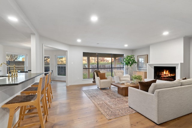 living room with sink and light hardwood / wood-style flooring