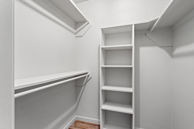 spacious closet featuring wood-type flooring