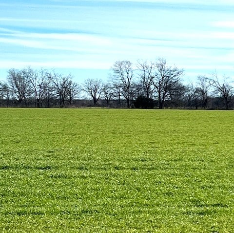 Listing photo 3 for TBD Farm Rd Unit 834, Roxton TX 75477