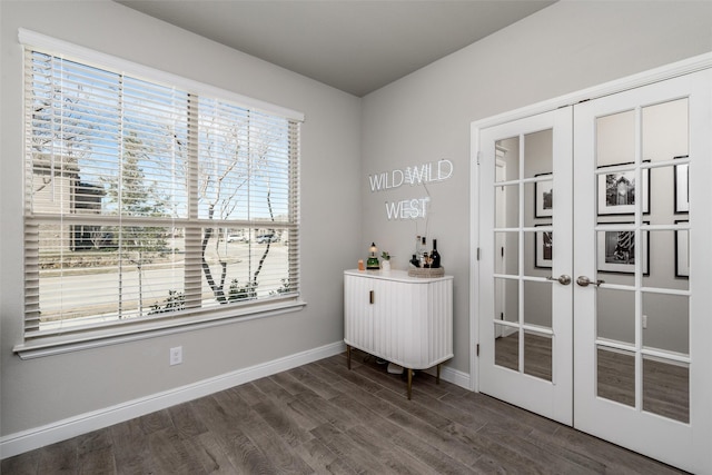 interior space featuring hardwood / wood-style flooring and french doors