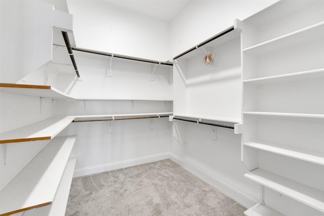 walk in closet with light colored carpet