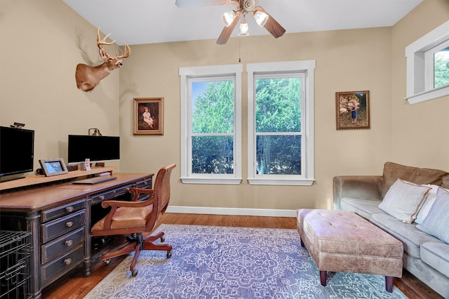 office featuring ceiling fan and hardwood / wood-style floors