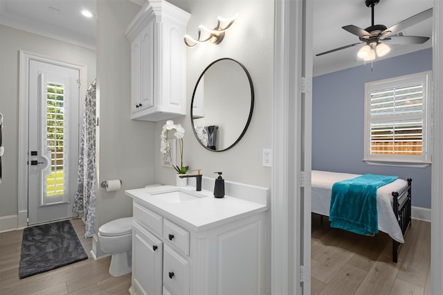 bathroom featuring hardwood / wood-style flooring, a wealth of natural light, ceiling fan, and vanity