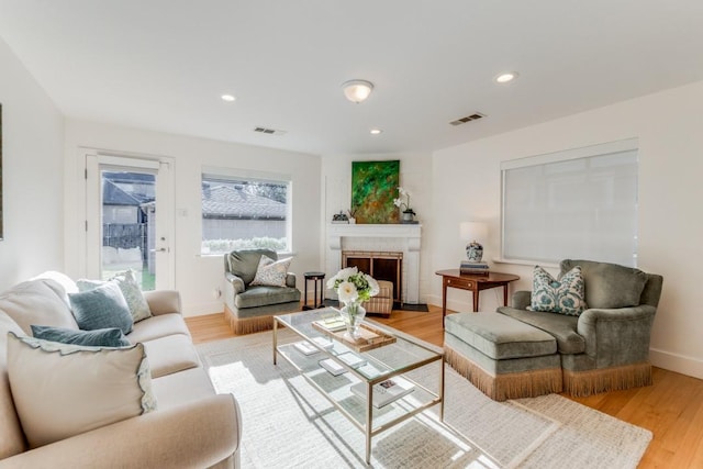 living room with light hardwood / wood-style flooring