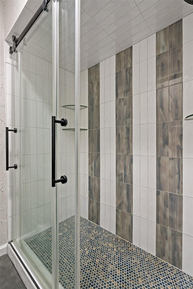 bathroom featuring a shower with shower door