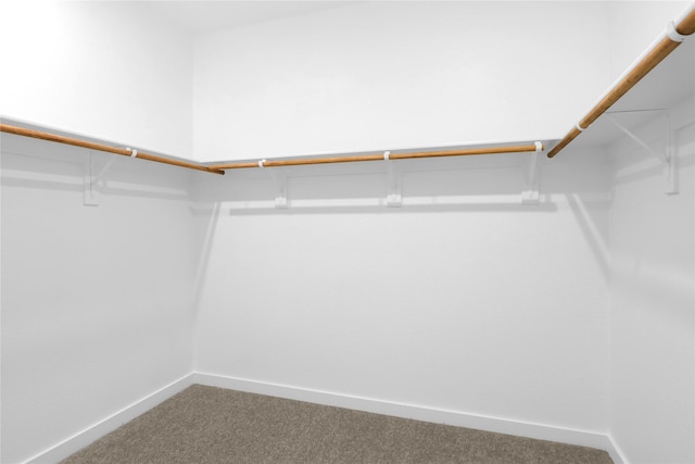 spacious closet with carpet flooring