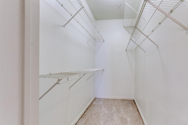 walk in closet featuring carpet flooring