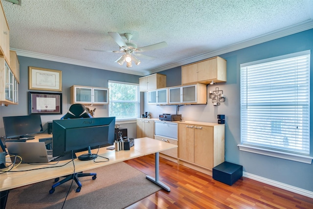 office featuring light wood-type flooring, ornamental molding, a textured ceiling, and plenty of natural light