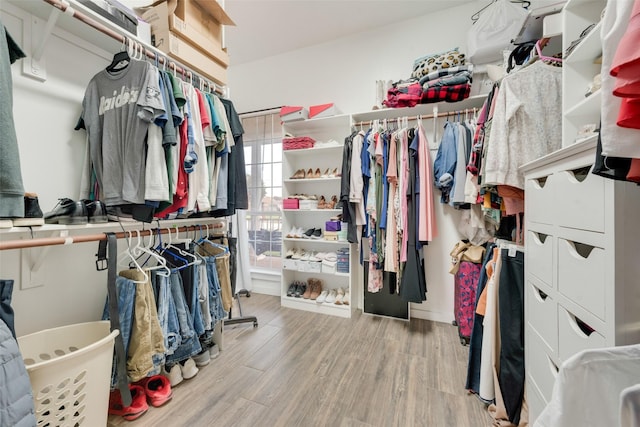 spacious closet featuring light hardwood / wood-style floors