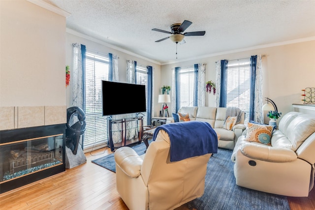 living room featuring a textured ceiling, ornamental molding, and plenty of natural light