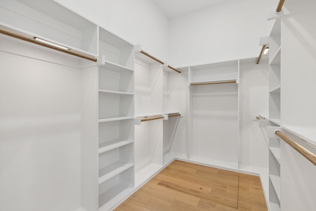 spacious closet with hardwood / wood-style flooring