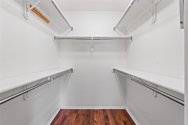 spacious closet with dark hardwood / wood-style flooring