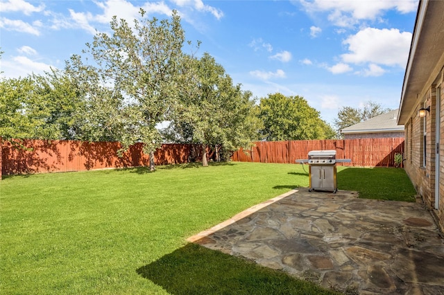 view of yard featuring a patio