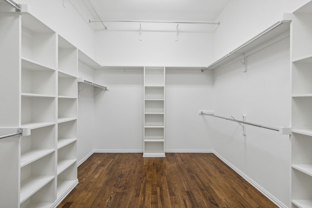 walk in closet featuring dark hardwood / wood-style floors