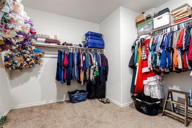 walk in closet with carpet floors