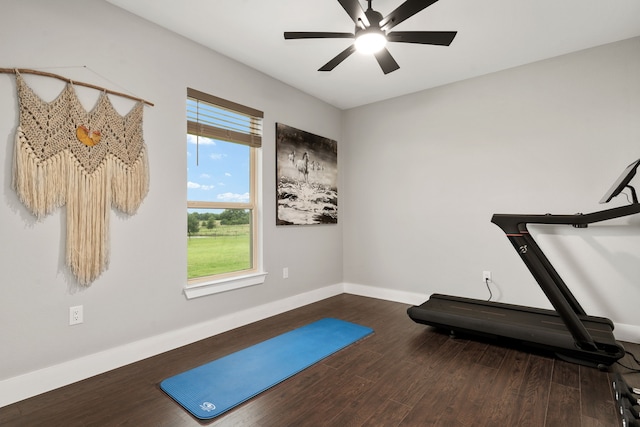 workout area with ceiling fan and wood-type flooring