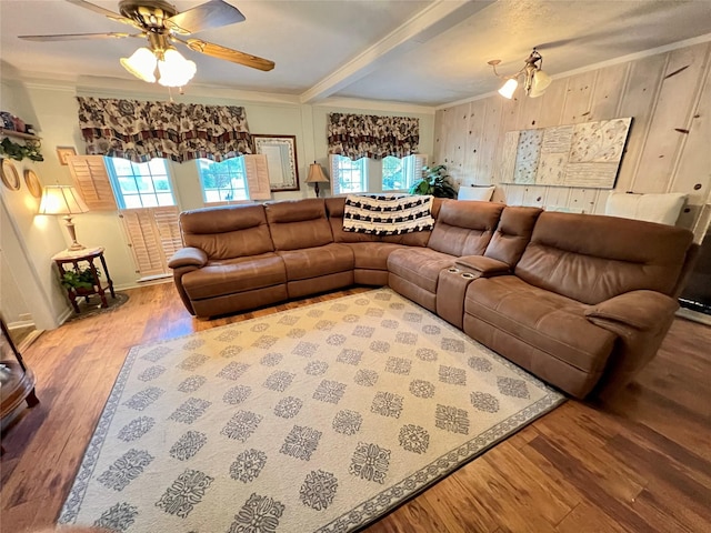 living room with ceiling fan with notable chandelier, wood-type flooring, ornamental molding, and beam ceiling