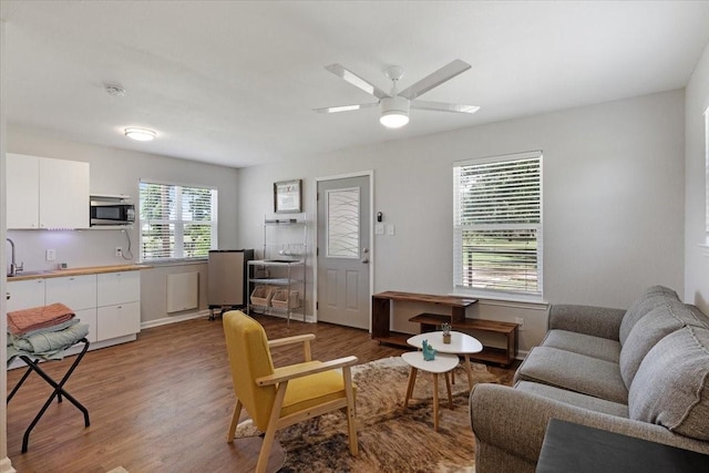 living room with ceiling fan and wood-type flooring